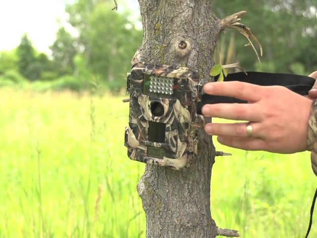 Skout%u2122 7.0MP Infrared Digital Video / Scouting Trail Camera - image 2 from the video